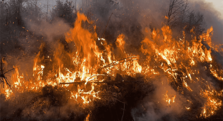 Tony O'Neill, Watch Manager at SWFRS, commanding wildfire operations on Meardy Mountain, Rhondda Cynon Taff, Wales, April 2025