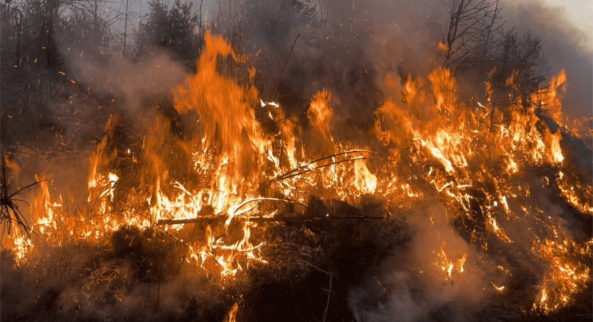 Tony O'Neill, Watch Manager at SWFRS, commanding wildfire operations on Meardy Mountain, Rhondda Cynon Taff, Wales, April 2025