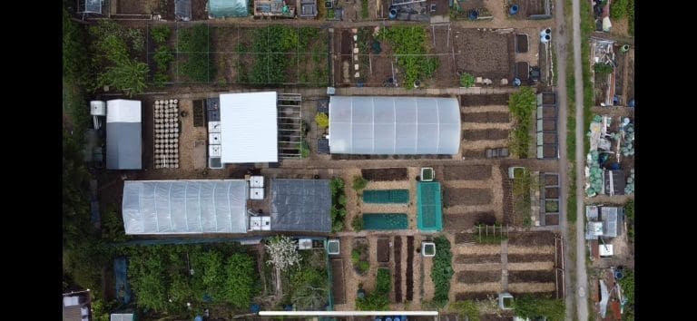 Aerial plan view looking directly down onto Tony O'Neill's allotment garden in South Wales, showing the full scale of the plot including two polytunnels, multiple raised growing beds, organised pathways, a large greenhouse structure, and surrounding trees and hedges