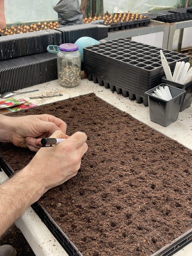 Tony O'Neill writing a plant label for a freshly sown large seed tray inside his polytunnel in South Wales, with stacked cell trays, a glass jar of seeds, plant labels, and a compost tub arranged on the potting bench behind him